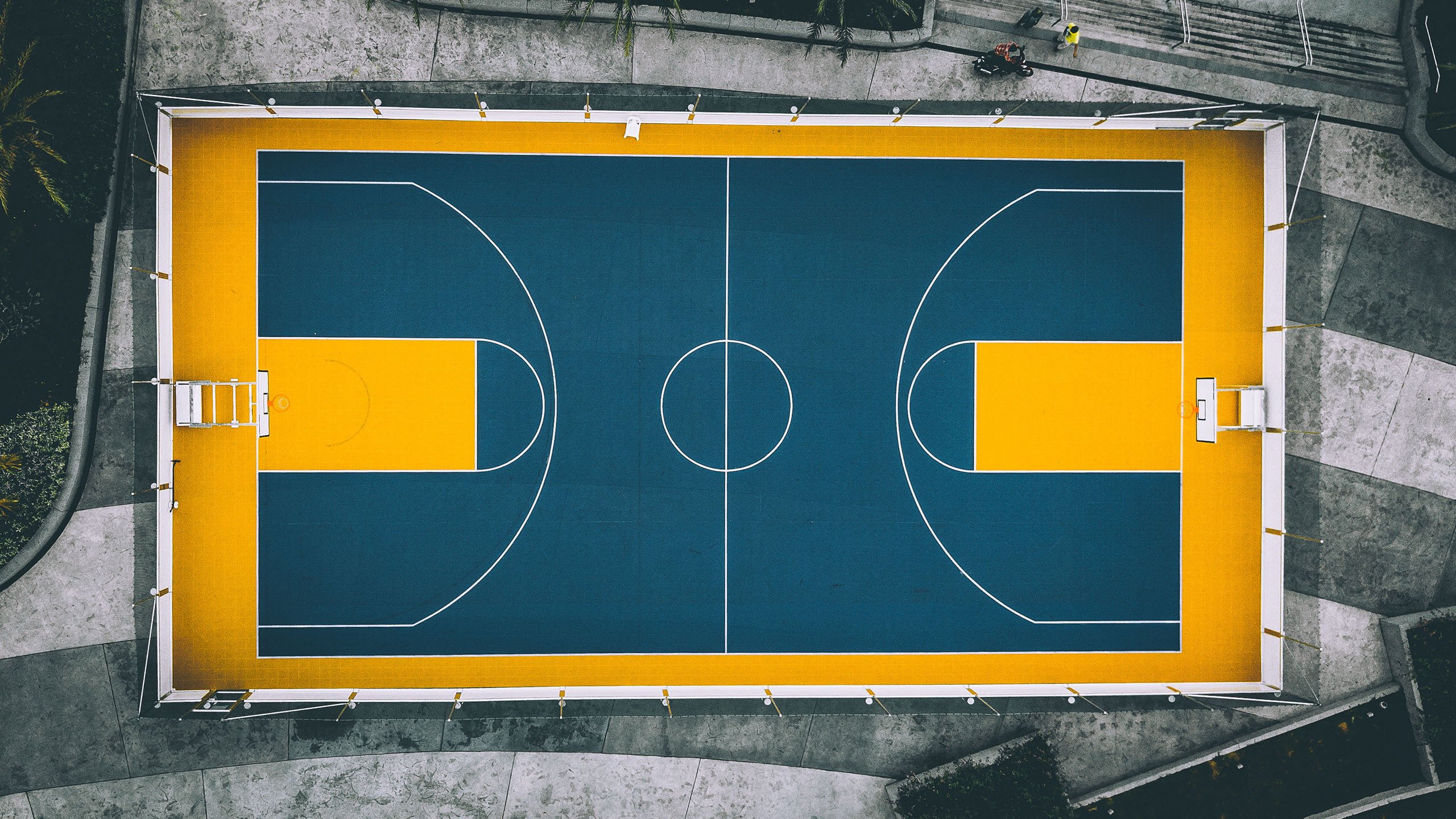 NBA球队品牌建设及粉丝忠诚度培养研究，nba球员粉丝数排名