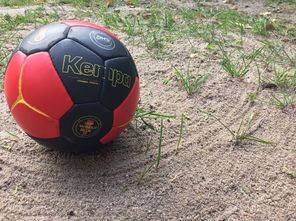 开云app-安提瓜和巴布达在中美洲锦标赛中夺冠，体育实力不断崛起