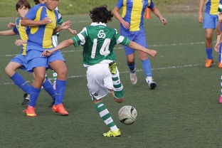 开云在线登入-体育新闻中心追踪每一场精彩赛事，体育新闻官网