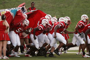 kaiyun网址-国乒大满贯赛连胜4场，16岁小将狂轰11-1，国乒大满贯是什么意思